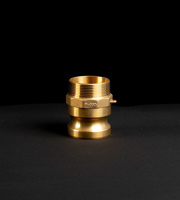 Brass camlock Type F